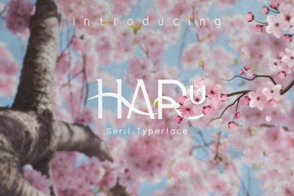 Haru: A Modern Font for Springtime Creativity