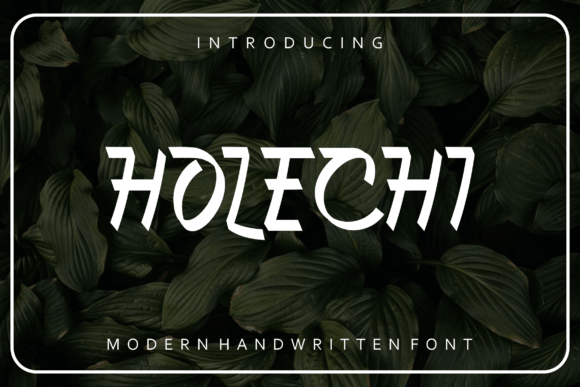 Holechi: A Slab Serif Font That Delivers Versatility and Style