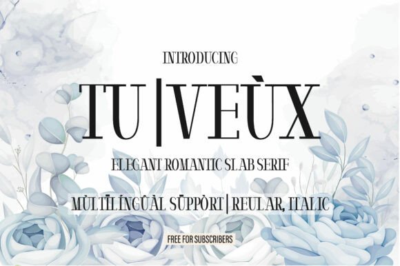 Tu Veùx: A Romantic Slab Serif Typeface