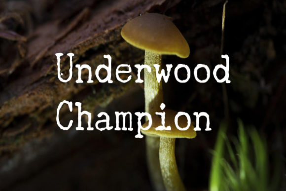 Underwood Champion: A Timeless Slab Serif Font for a Professional Edge
